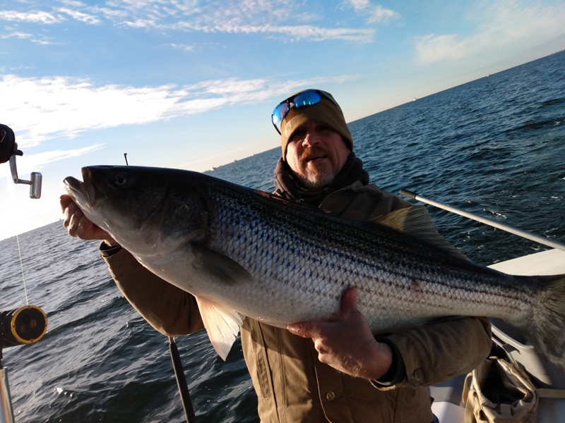 lower bay winter rockfish