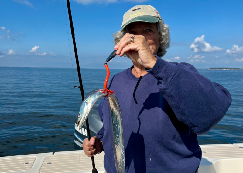 cutlass fish in the bay