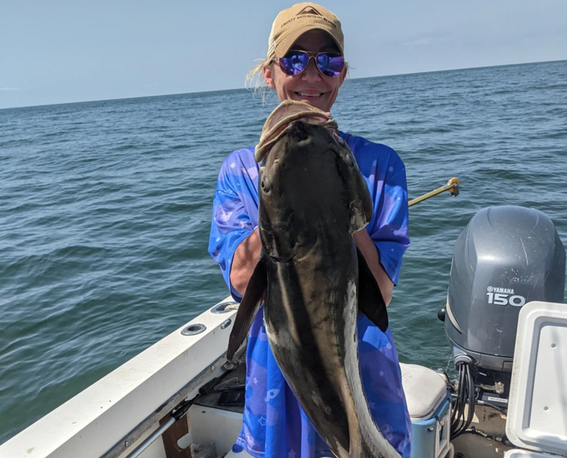 lower chesapeake bay cobia fishing