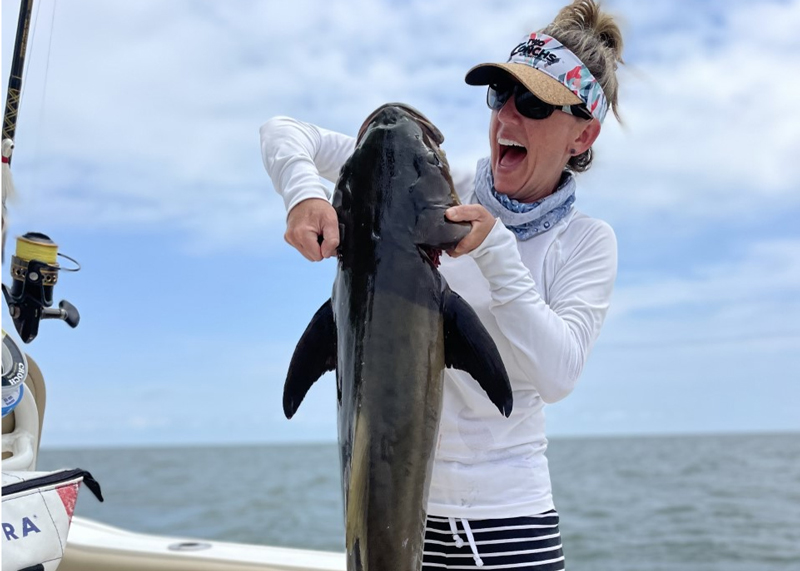 cobia in lower bay