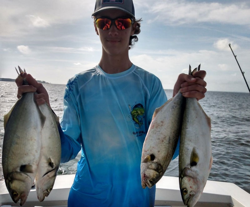 lower bay bluefish