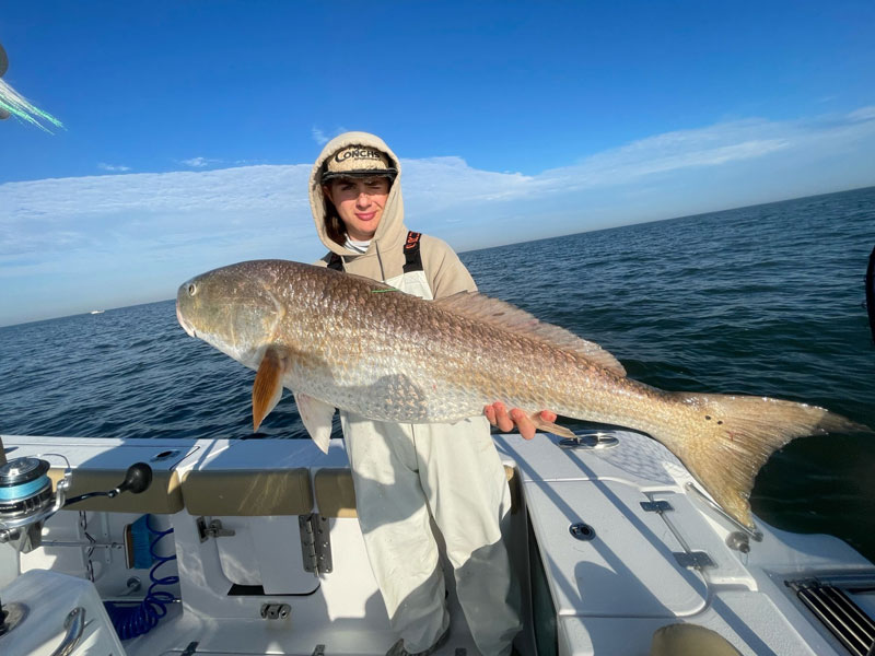 big bull red in the lower chesapeake bay