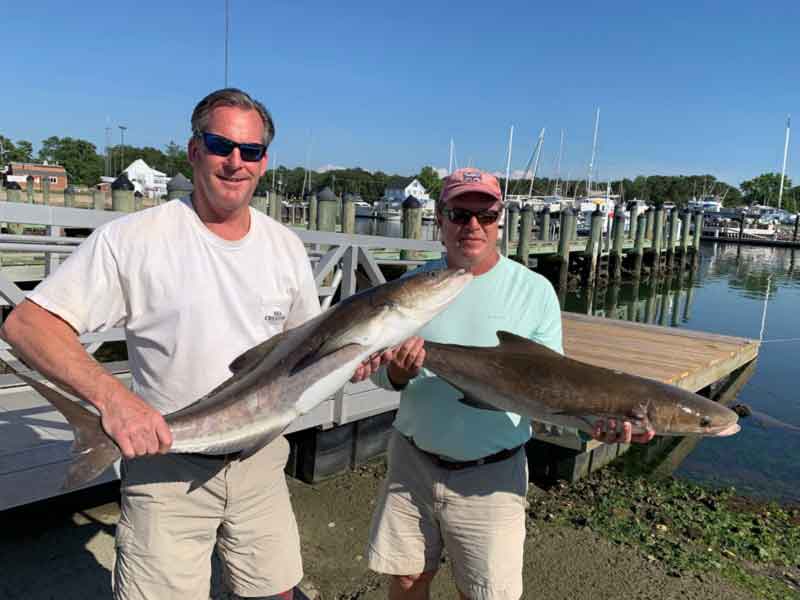 anglers with their cobia