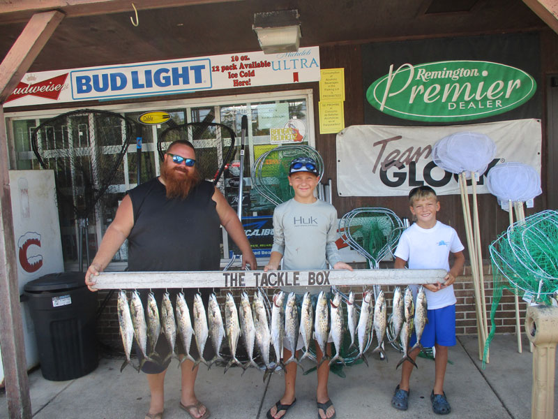 huge catch of mackerel