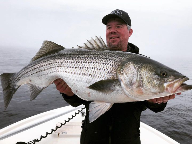 big striper for travis