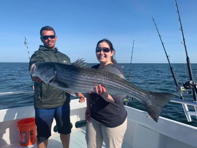 striper caught on the charter boat wound tight