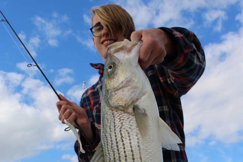 lower chesapeake fishing