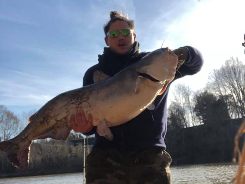 lower bay blue catfish