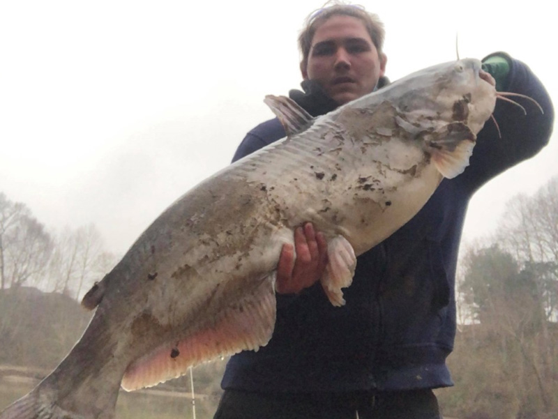 rappahannock river catfish