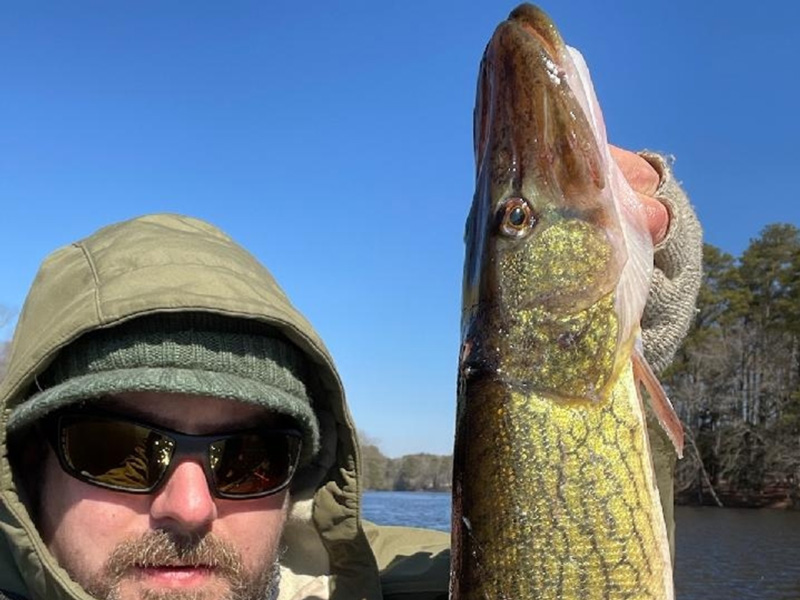 fishing for pickerel