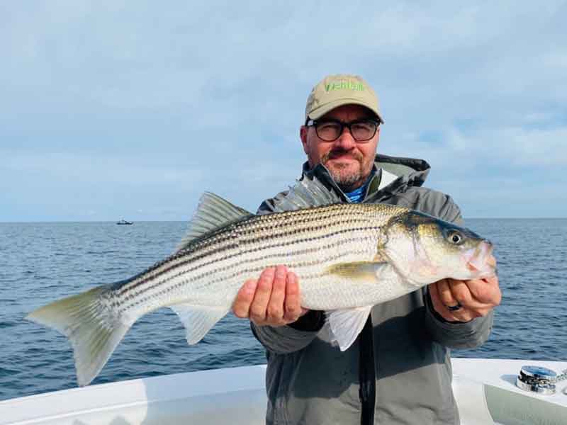 eric with a striped bass from the potomac river