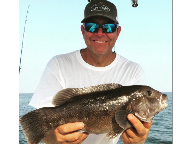 tautog in the chesapeake bay