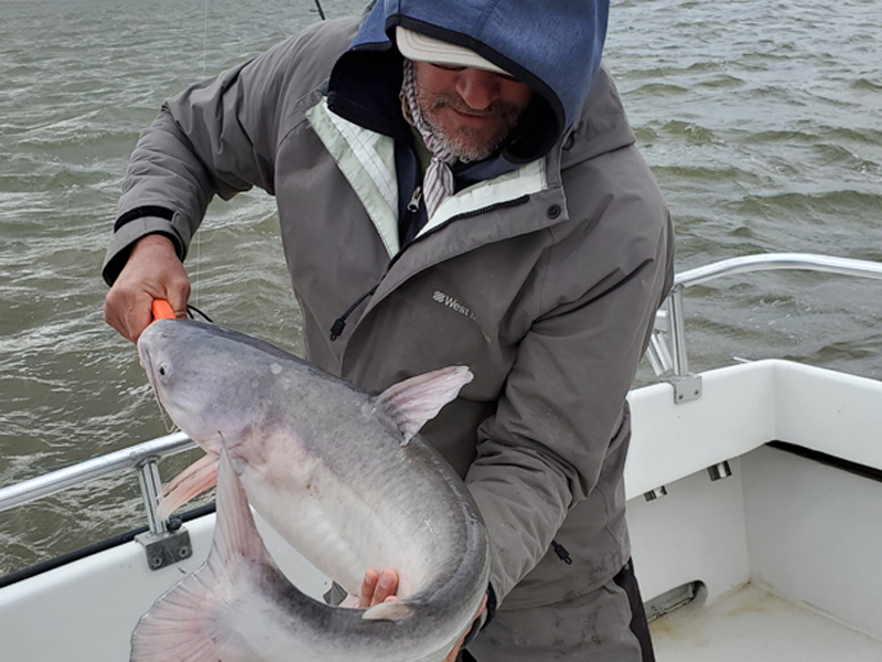 potomac river blue catfish fishing