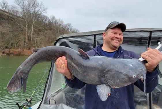 giant catfish from the potomac