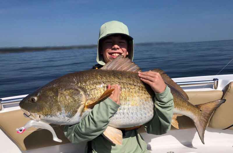 giant red drum