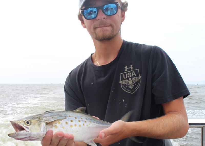 fisherman caught spanish mackerel while trolling