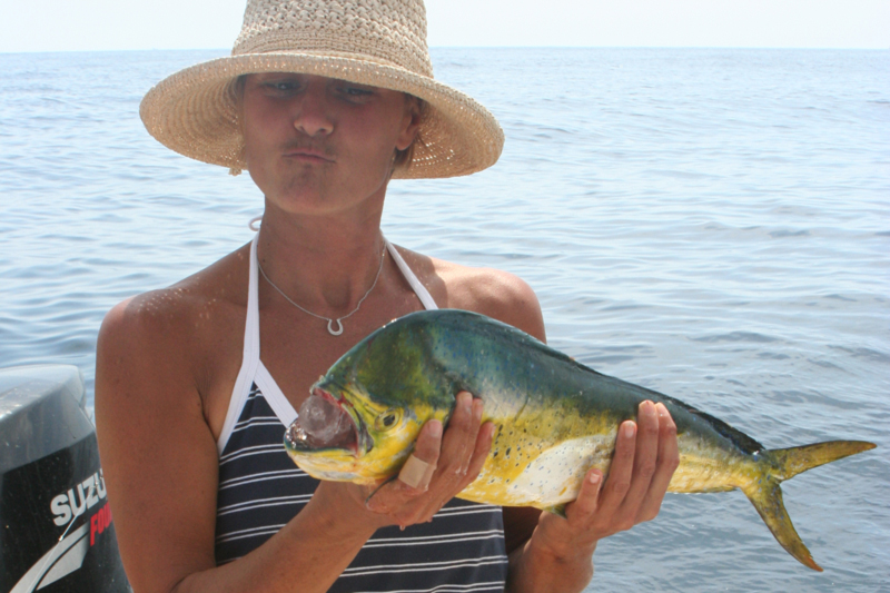 mahi fish