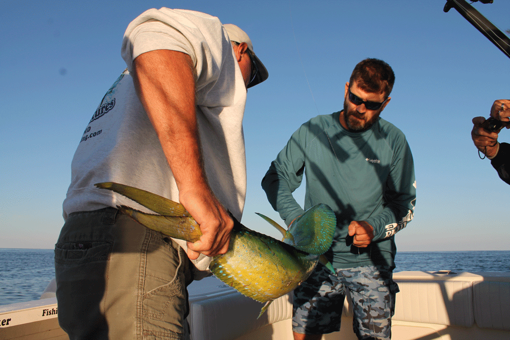 October Mid-Atlantic Coastal Fishing Report