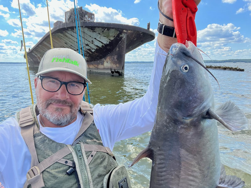 catfish in mallows bay