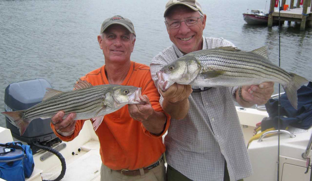 man o war shoal striped bass fishing