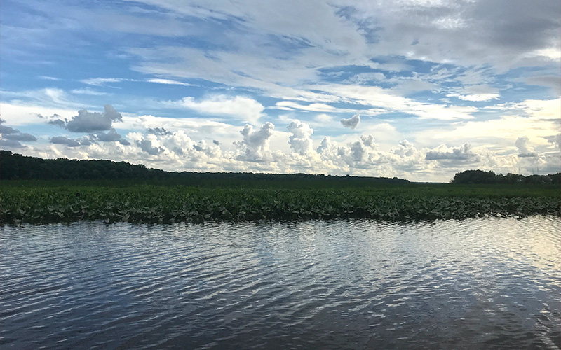 mattawoman creek fishing