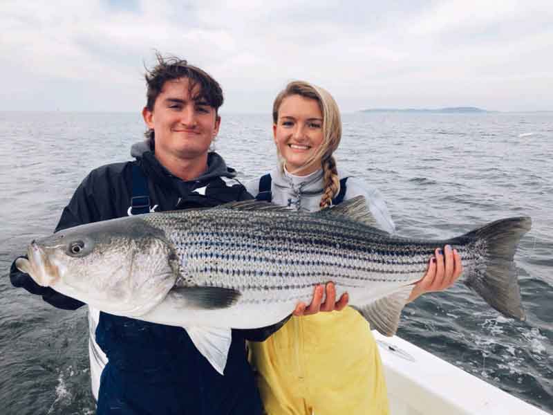 giant rockfish