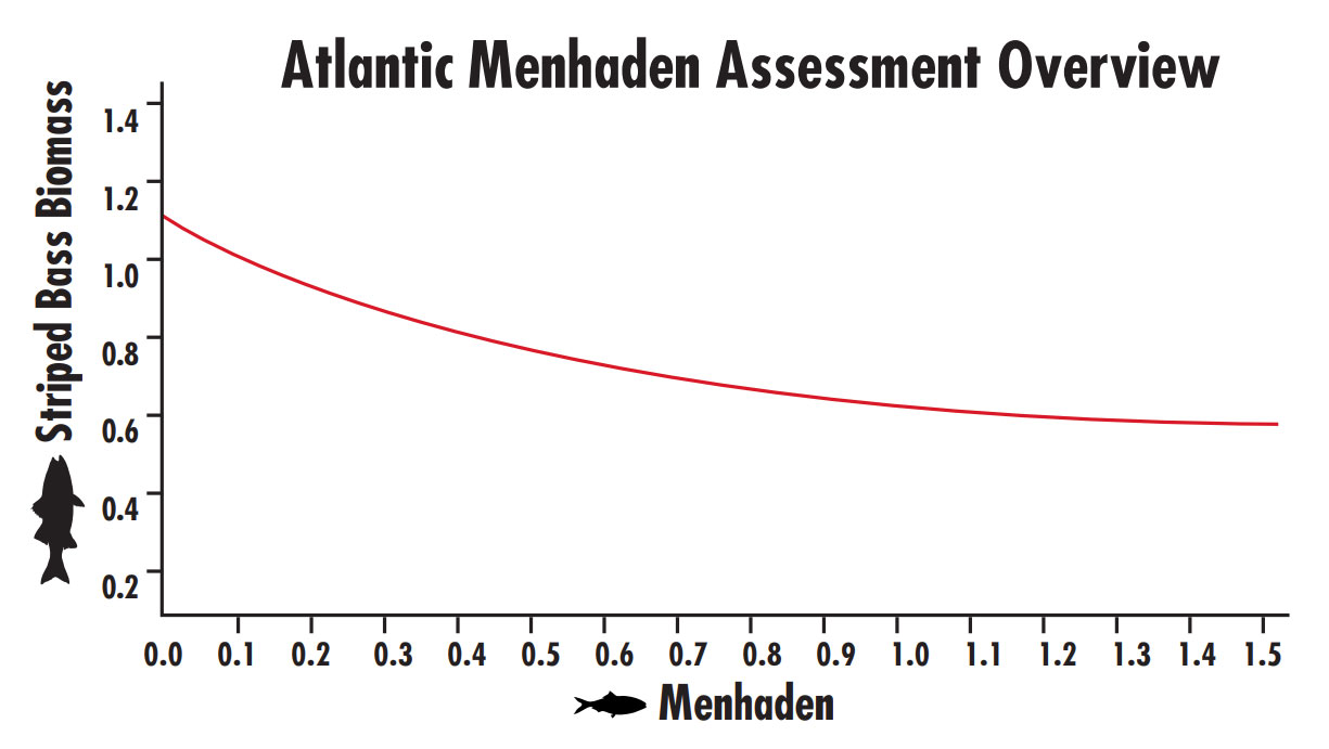 compare menhaden numbers with striped bass numbers