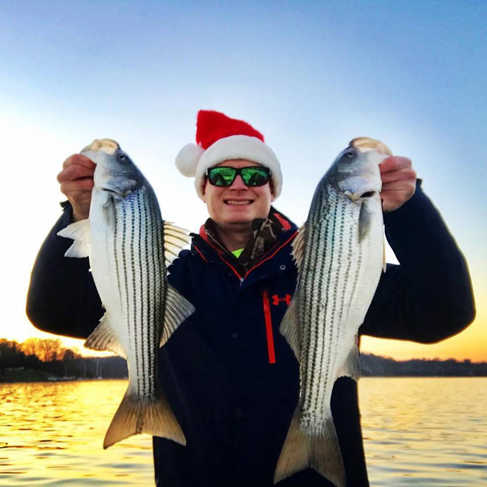 santa catching stripers