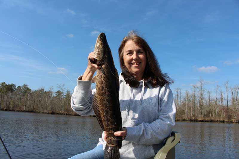 woman caught a snakehead