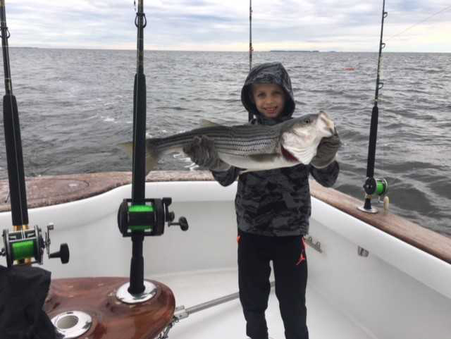 striped bass caught in middle chesapeake