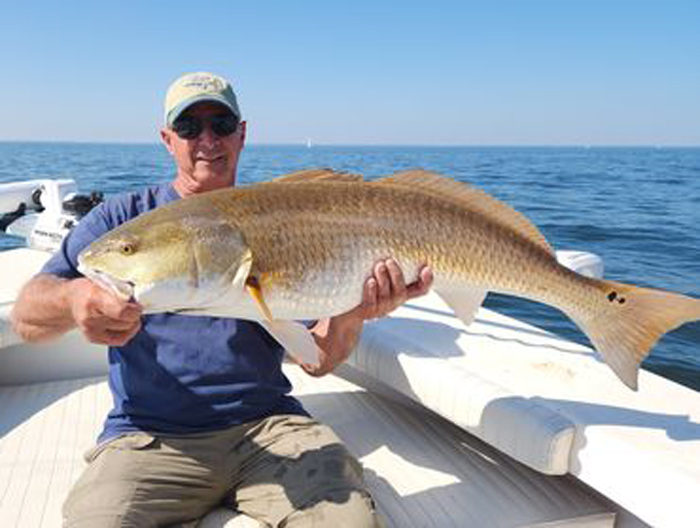 eastern bay redfish