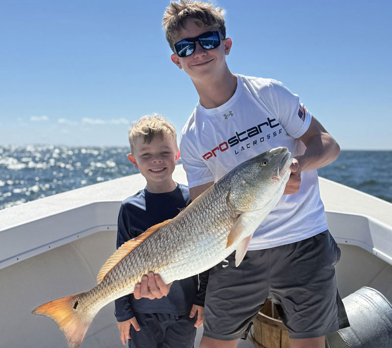 redfish in middle bay