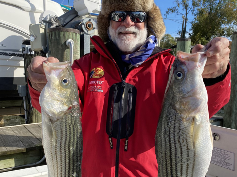 middle chesapeake bay fall fishing