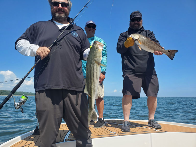 fishing in the middle bay