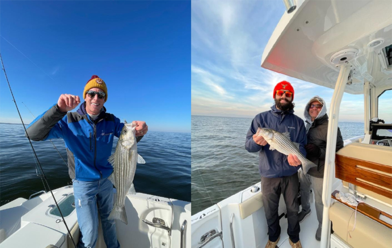 rockfish were caught in the chesapeake this week
