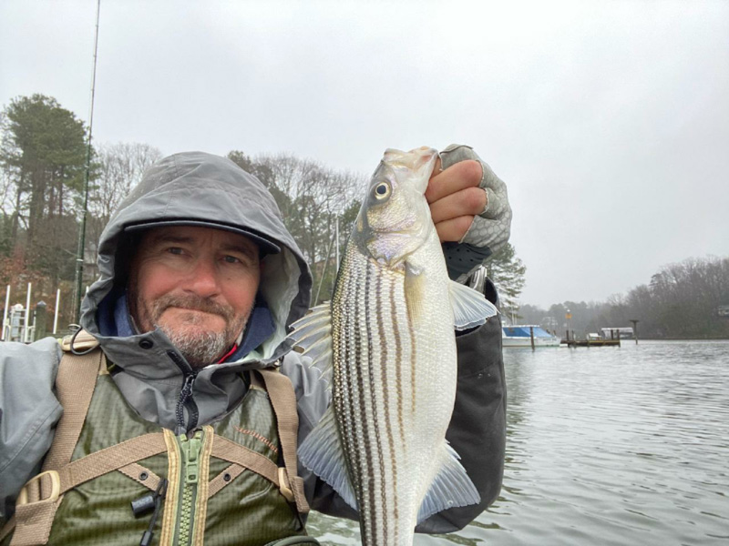 catch and release rockfish