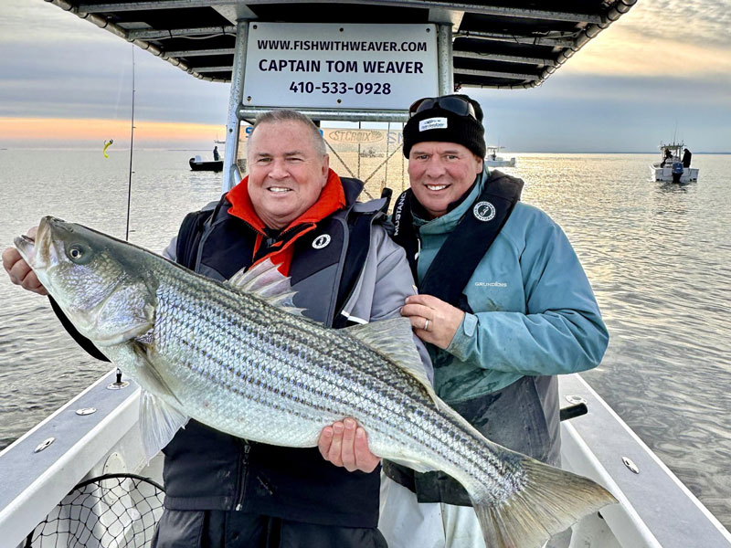 rockfish with tom weaver