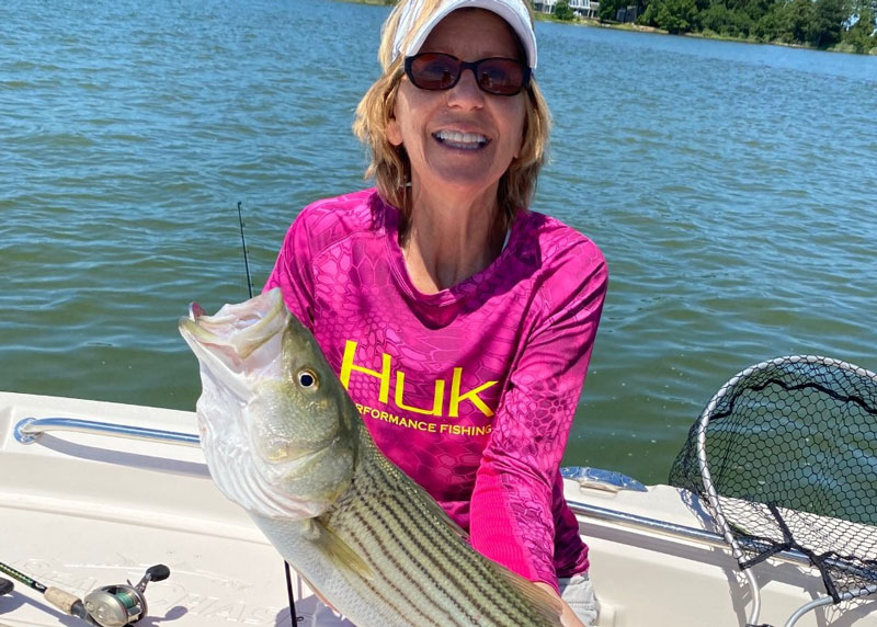 choptank rockfish