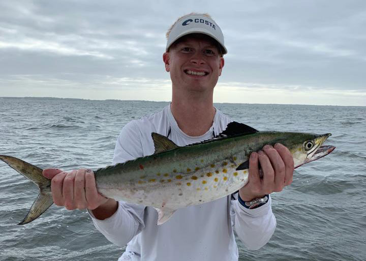 spanish mackerel fish