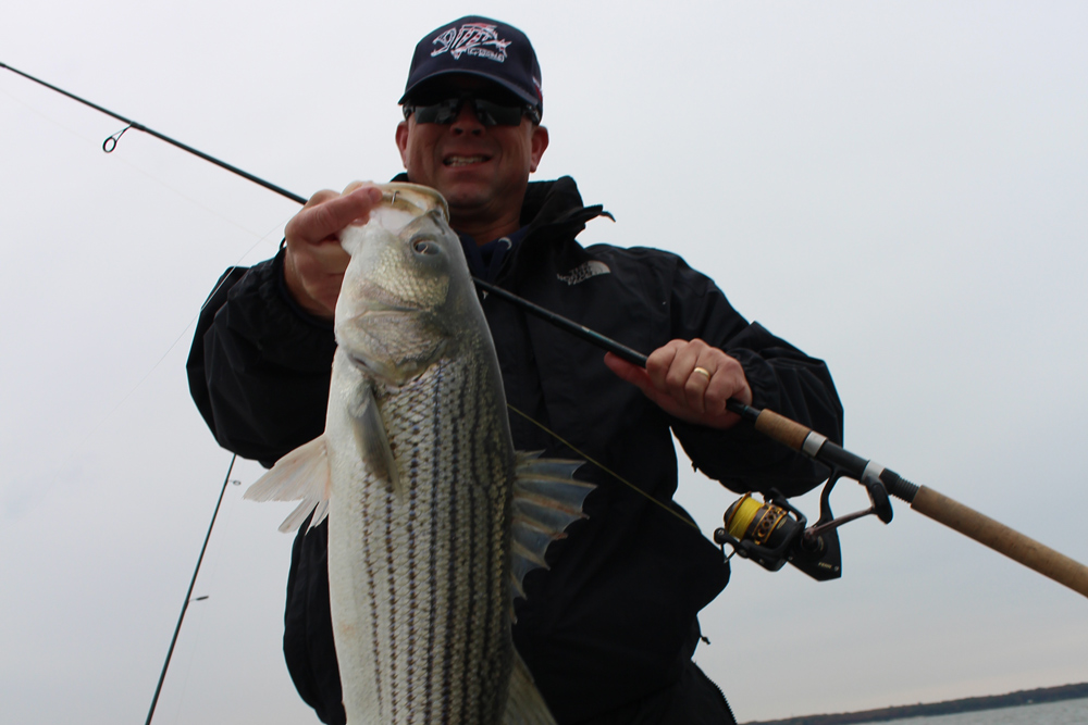 middle chesapeake striper 