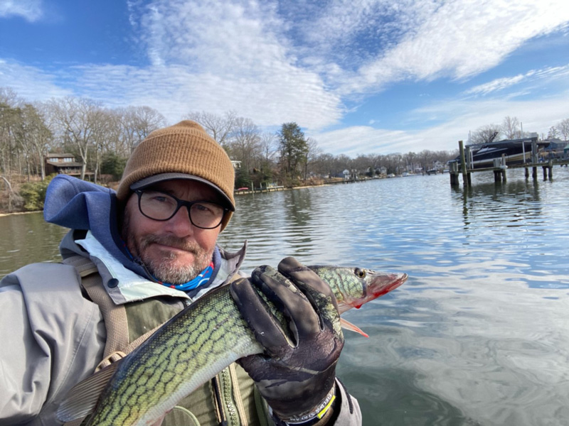 middle bay pickerel fishing