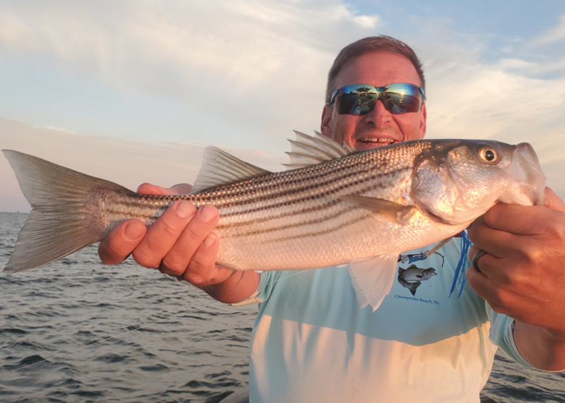 striper caught in a tributary