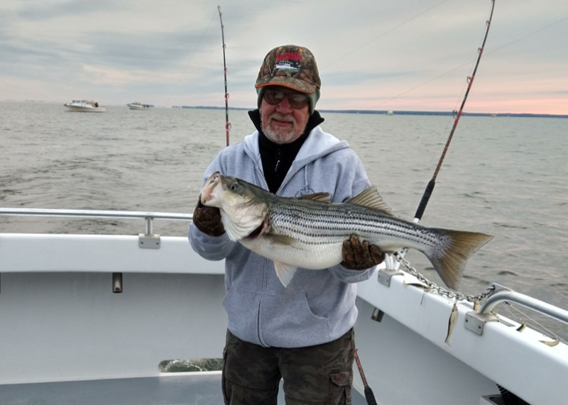 bert with a rockfish