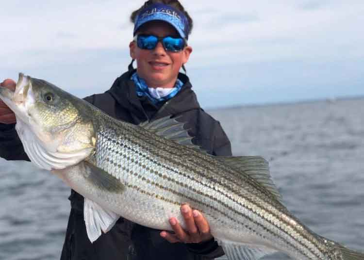 big rockfish caught on the bay