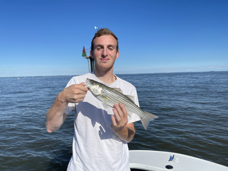 little rockfish from the bay