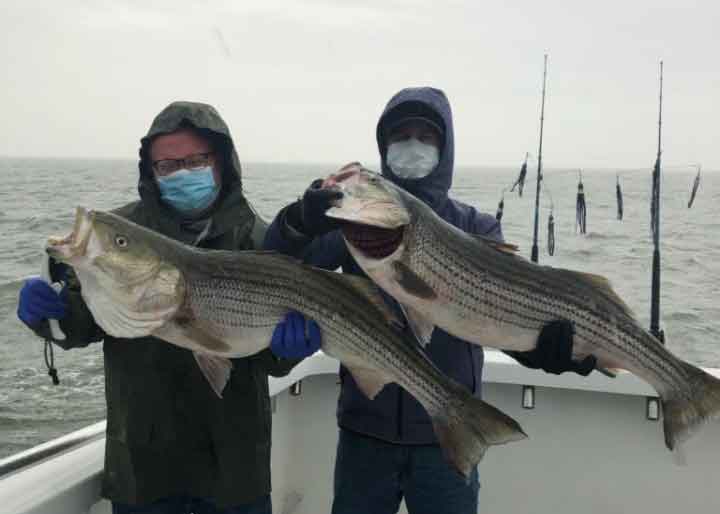 rockfish anglers on big worm