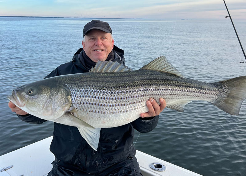 massive rockfish in the middle bay
