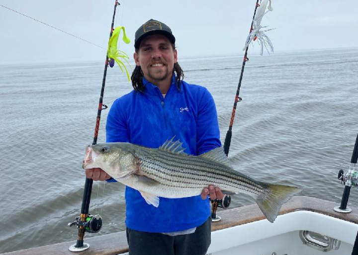 striper in the middle chesapeake