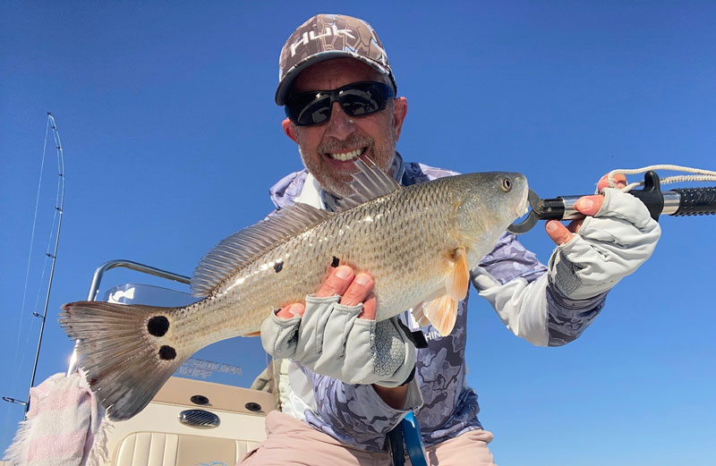 red drum in the choptank