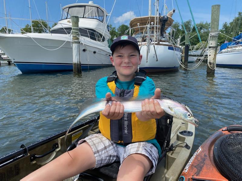 ribbonfish caught in patuxent river